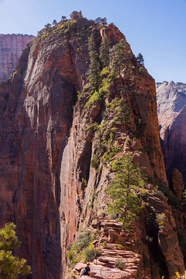 Angels Landing 2