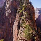 Angels Landing 2