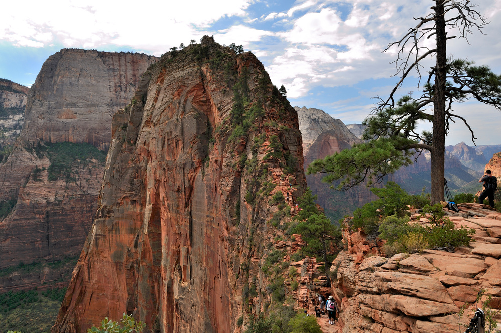 Angels Landing