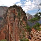 Angels Landing