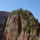 Angels Landing