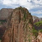 Angel's Landing - Top of the Valley