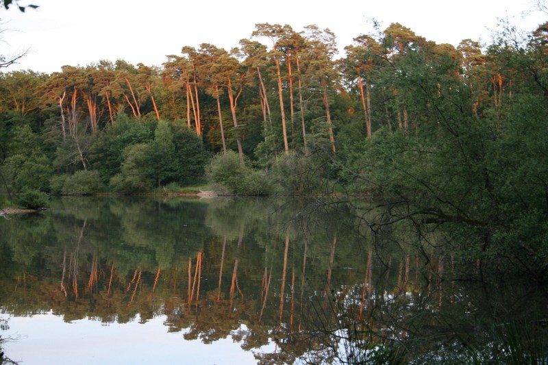 Angelsee bei Rambouillet