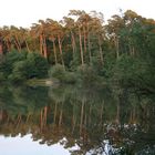 Angelsee bei Rambouillet