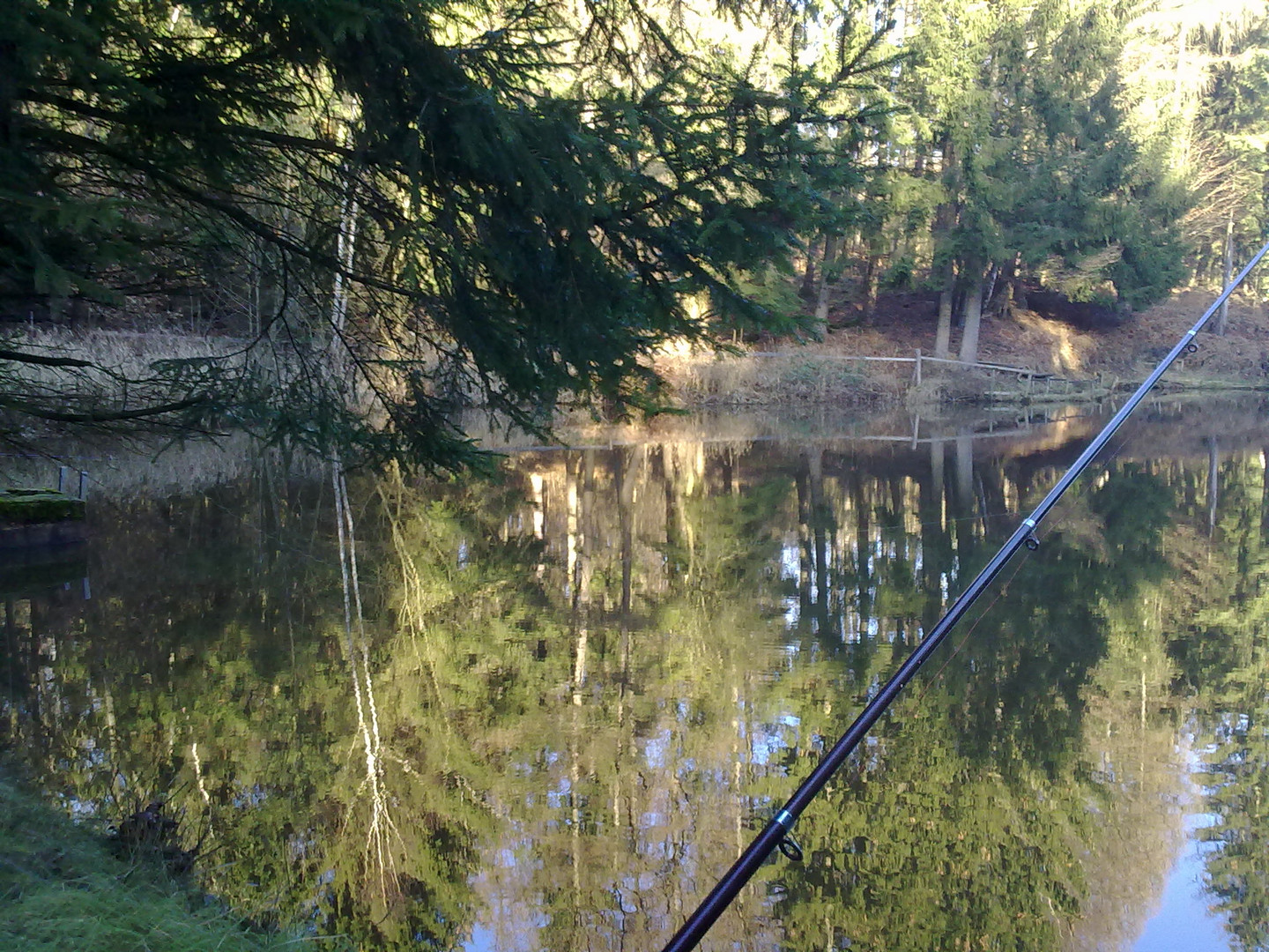 Angelsee in der Nordheide