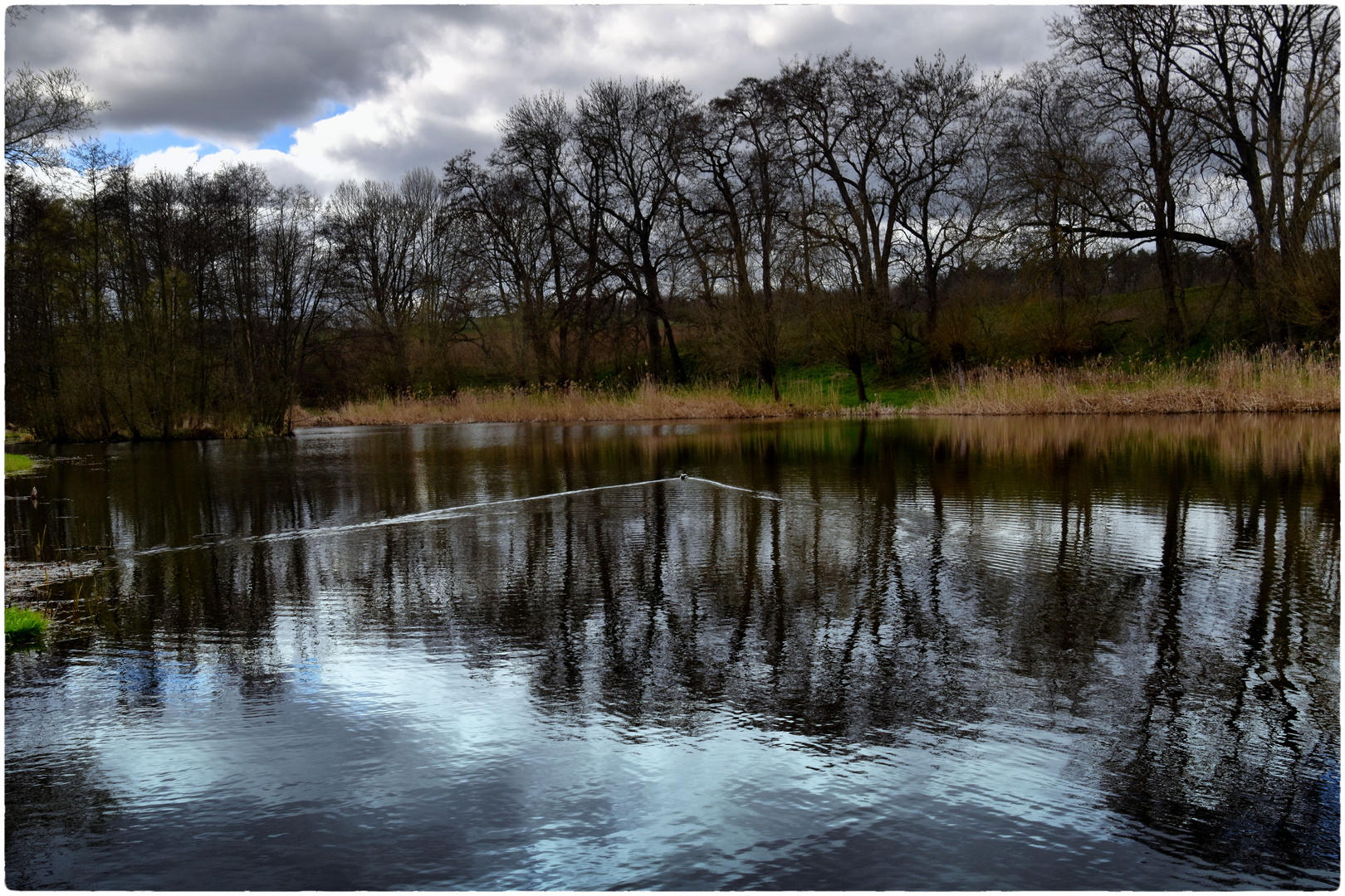 Angelteich Foto & Bild spezial, natur, landschaft Bilder auf