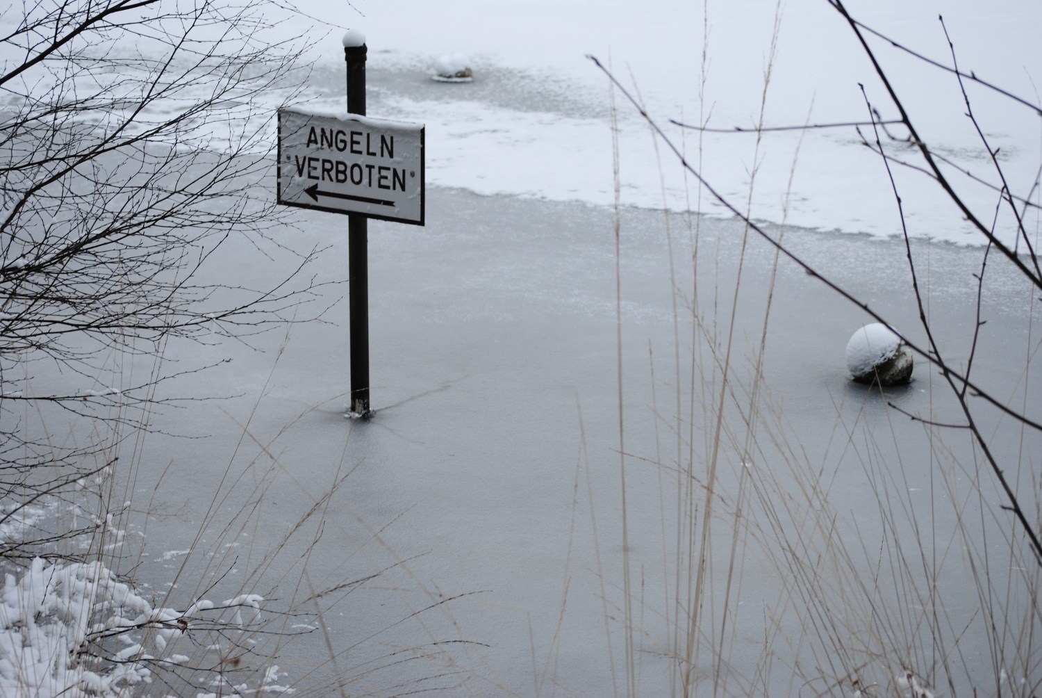 Angelteich im Winter