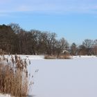 Angelteich im Winter