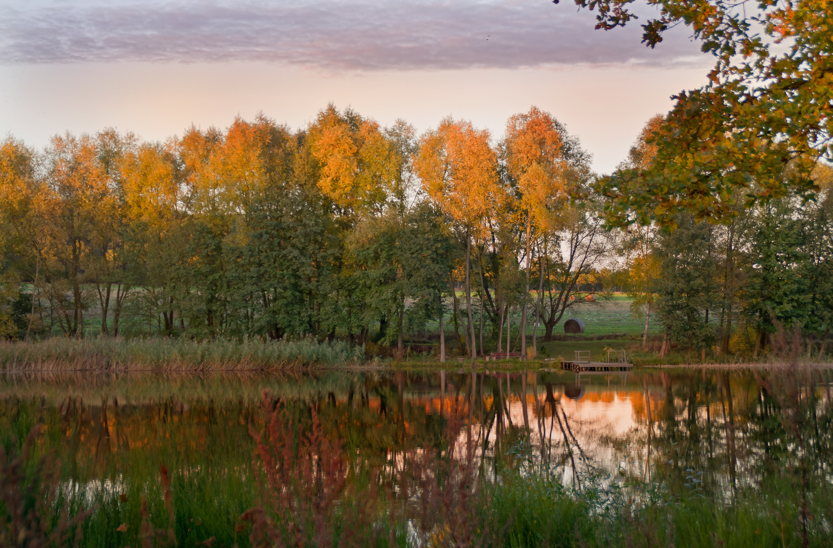 Angelteich in Norddeutschland, Herbstabend, Ende Oktober