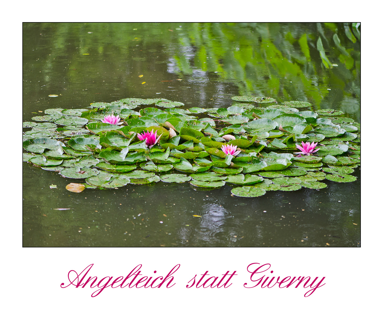 Angelteich statt Giverny, . . .