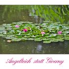 Angelteich statt Giverny, . . .