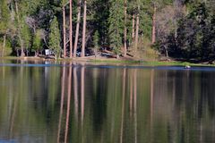 Angelus Oaks, California