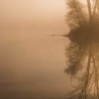 Angelweiher im Morgennebel