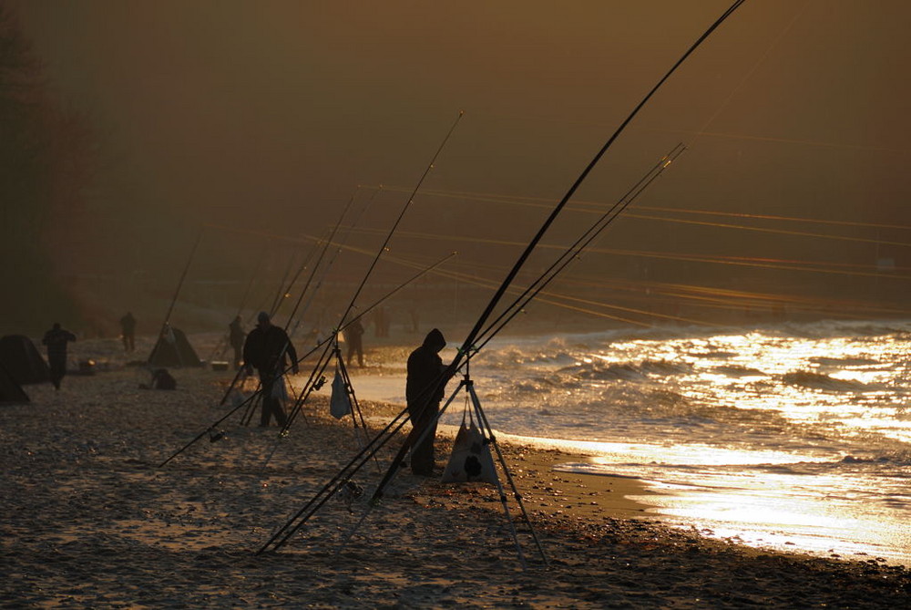 Angelwettbewerb in der Abendsonne am Weisenhauser Strand (Schleswig-Holstein)