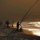 Angelwettbewerb in der Abendsonne am Weisenhauser Strand (Schleswig-Holstein)