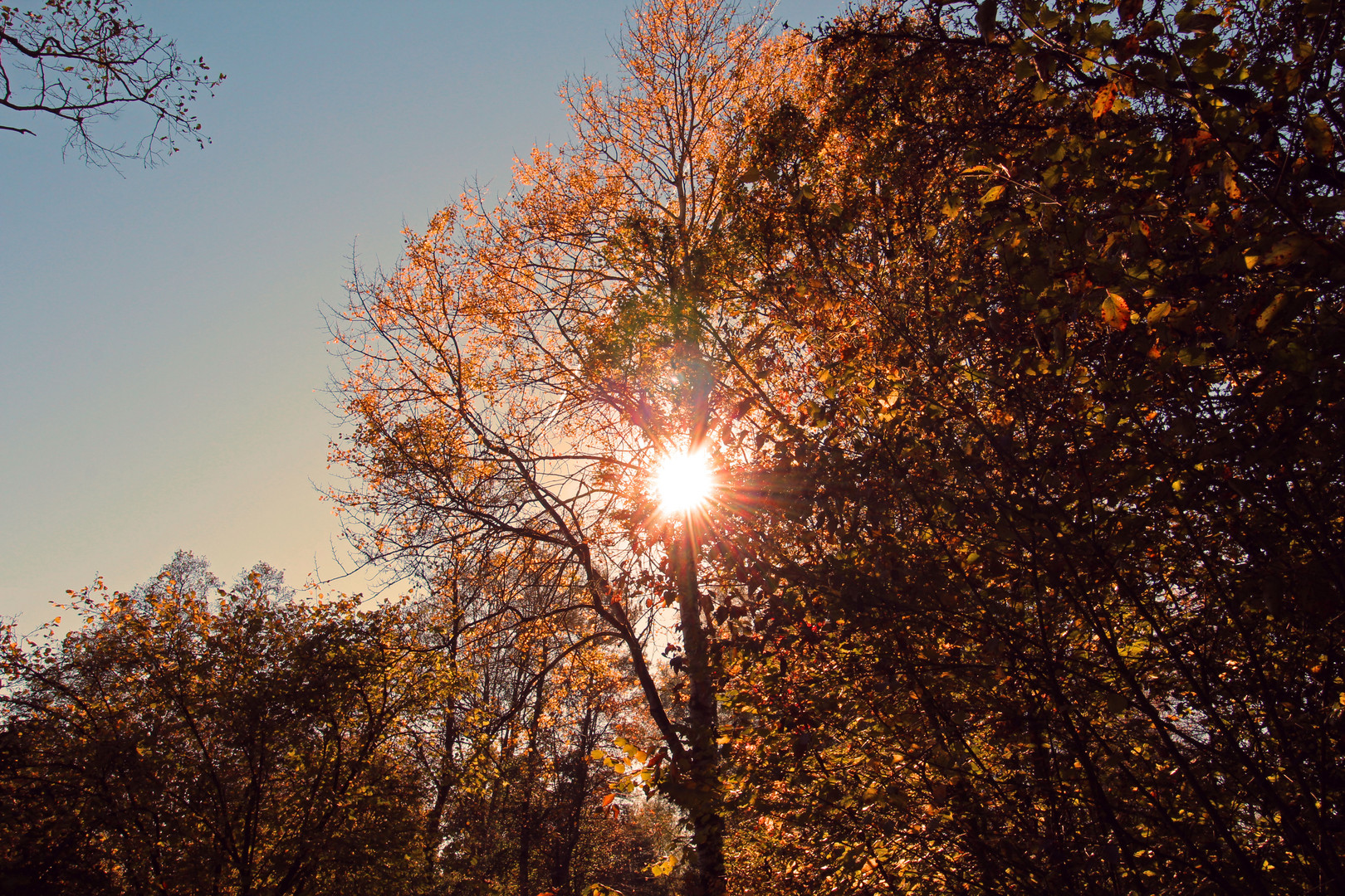 angenehm wärmende Herbstsonne