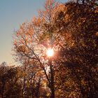 angenehm wärmende Herbstsonne