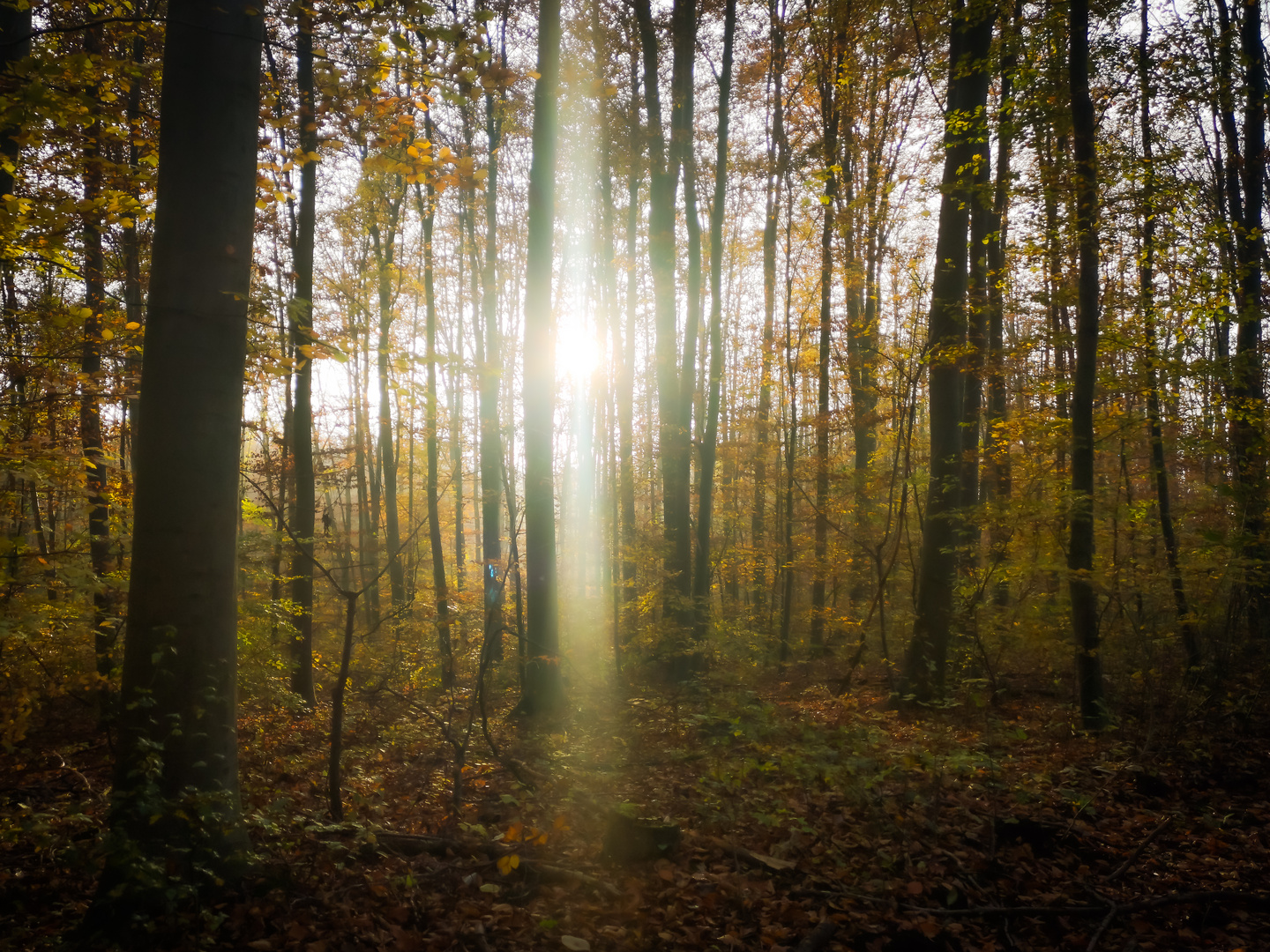 Angenehmer Sonnenschein...