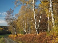 Angersbachtal, 34626 Neukirchen