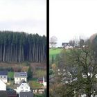 Angeschnittener Hochwald ohne Randfichtenschutz