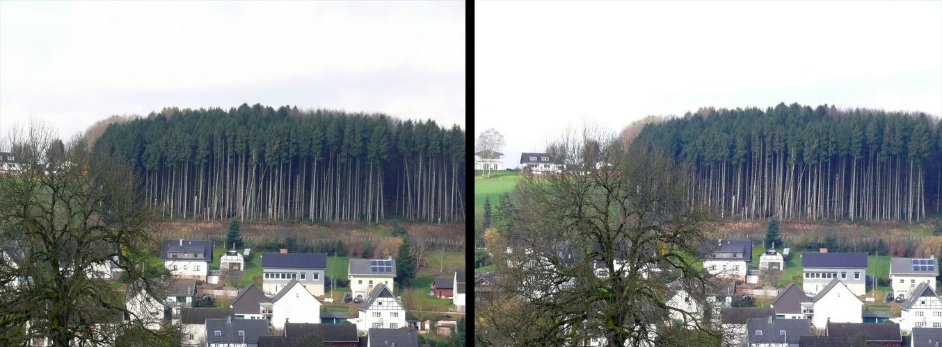 Angeschnittener Hochwald ohne Randfichtenschutz