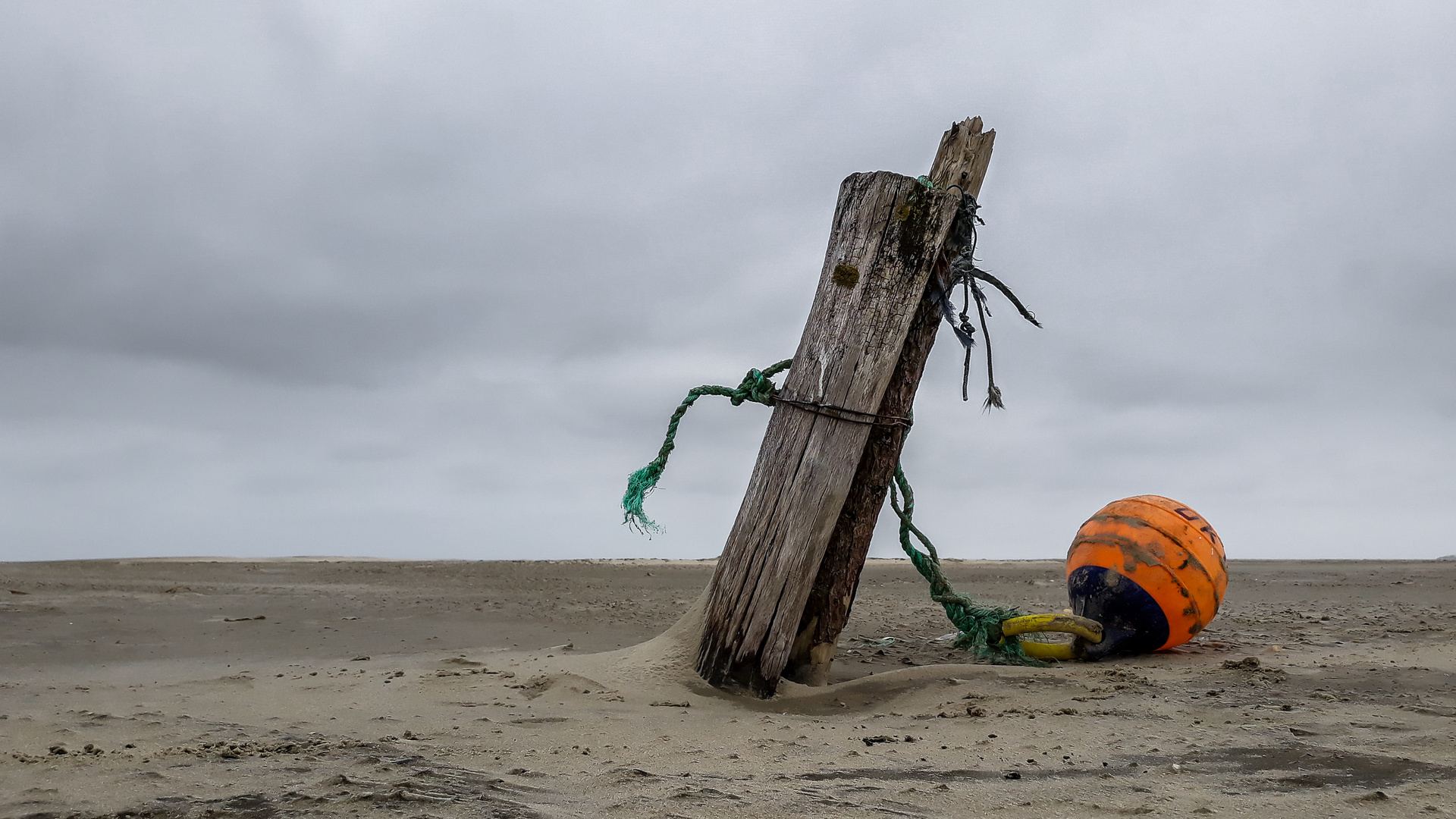 Angespült auf Norderney