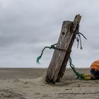 Angespült auf Norderney