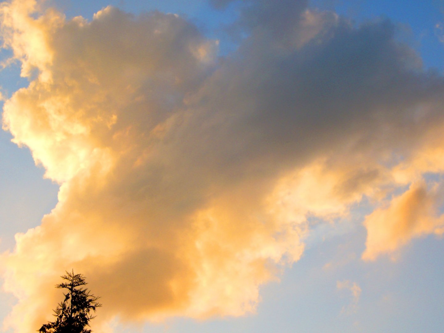 angestrahlte Wolke