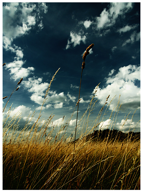 angetäuschter Sommer