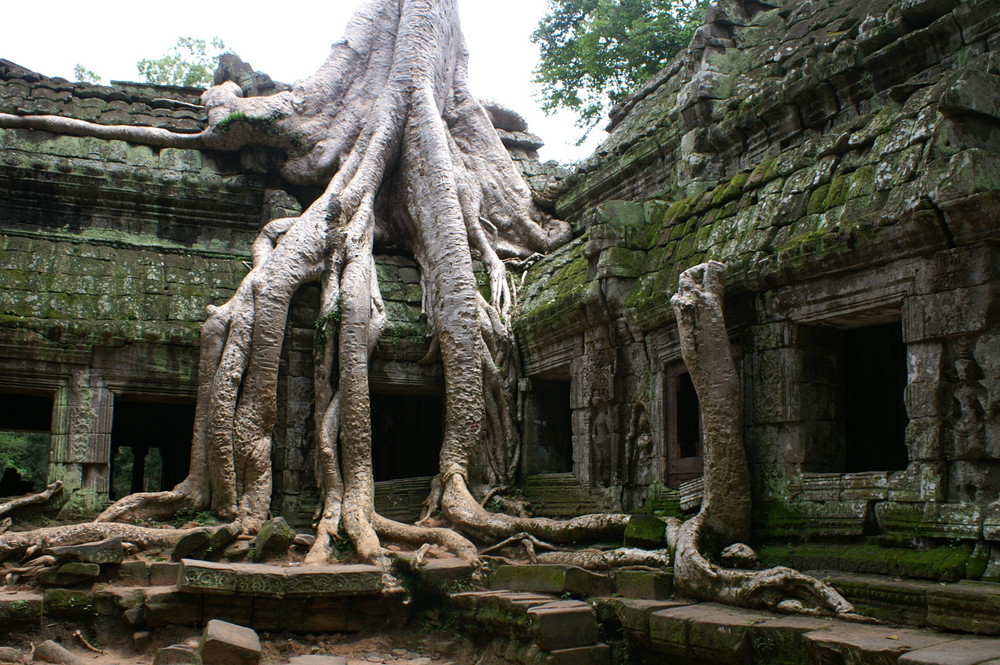 ANGKOR