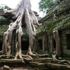 ANGKOR