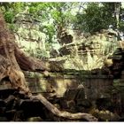 Angkor - 5