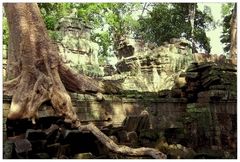 Angkor - 5
