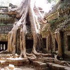 Angkor