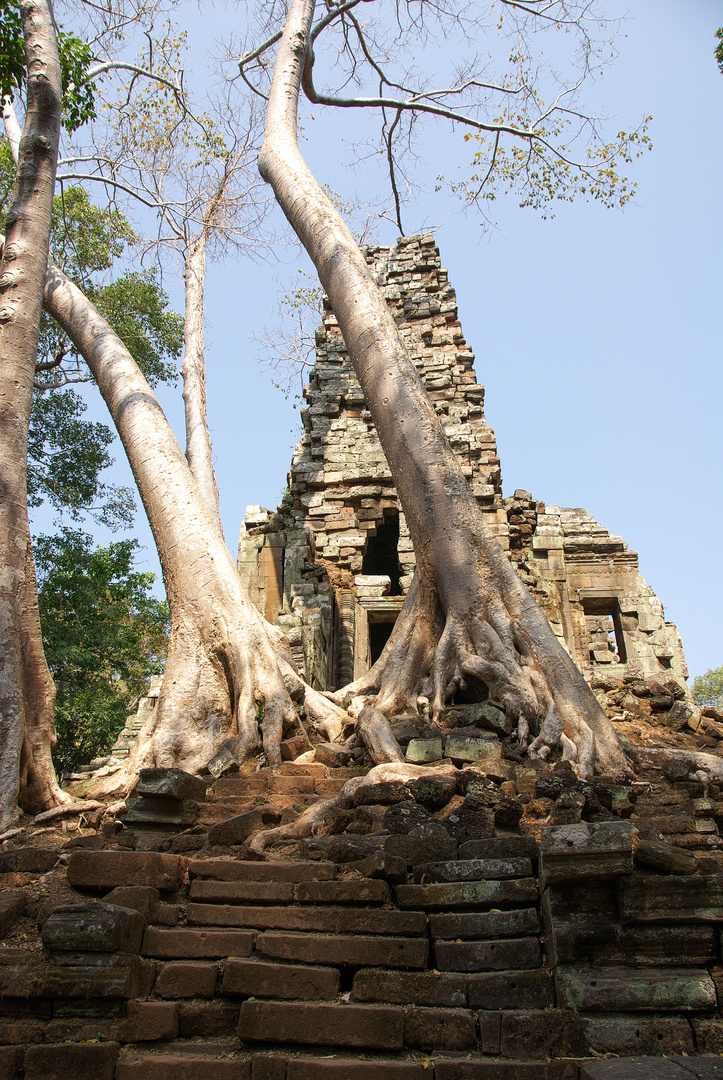 Angkor 7