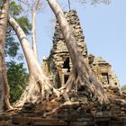 Angkor 7