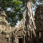 Angkor 9