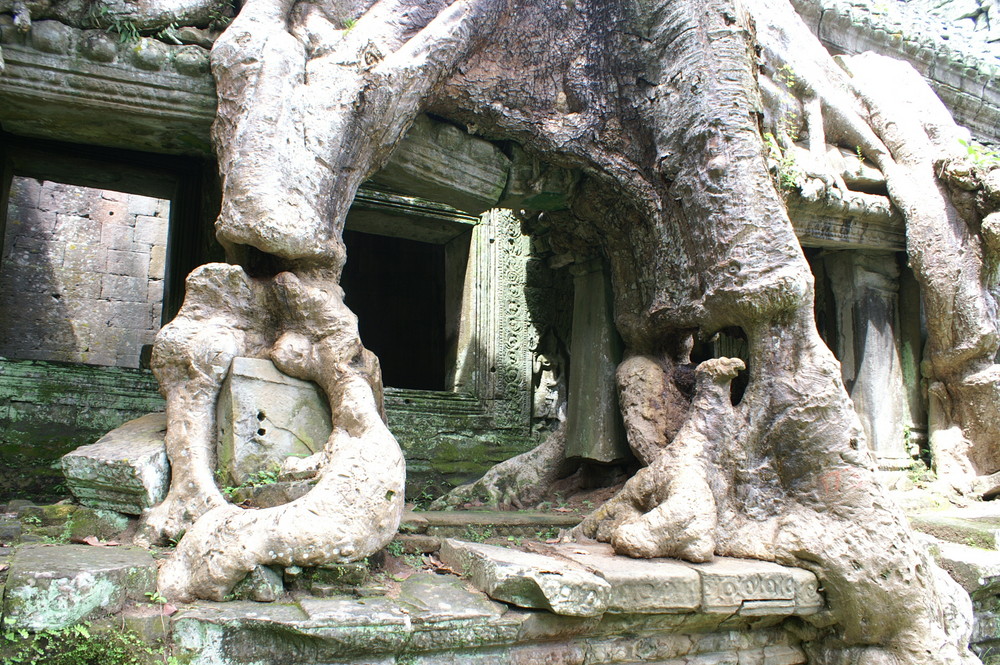 ANGKOR Cambodia