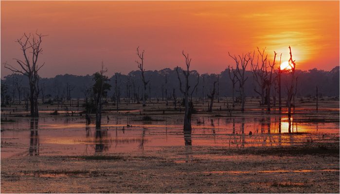 Angkor - Jayatataka Baray