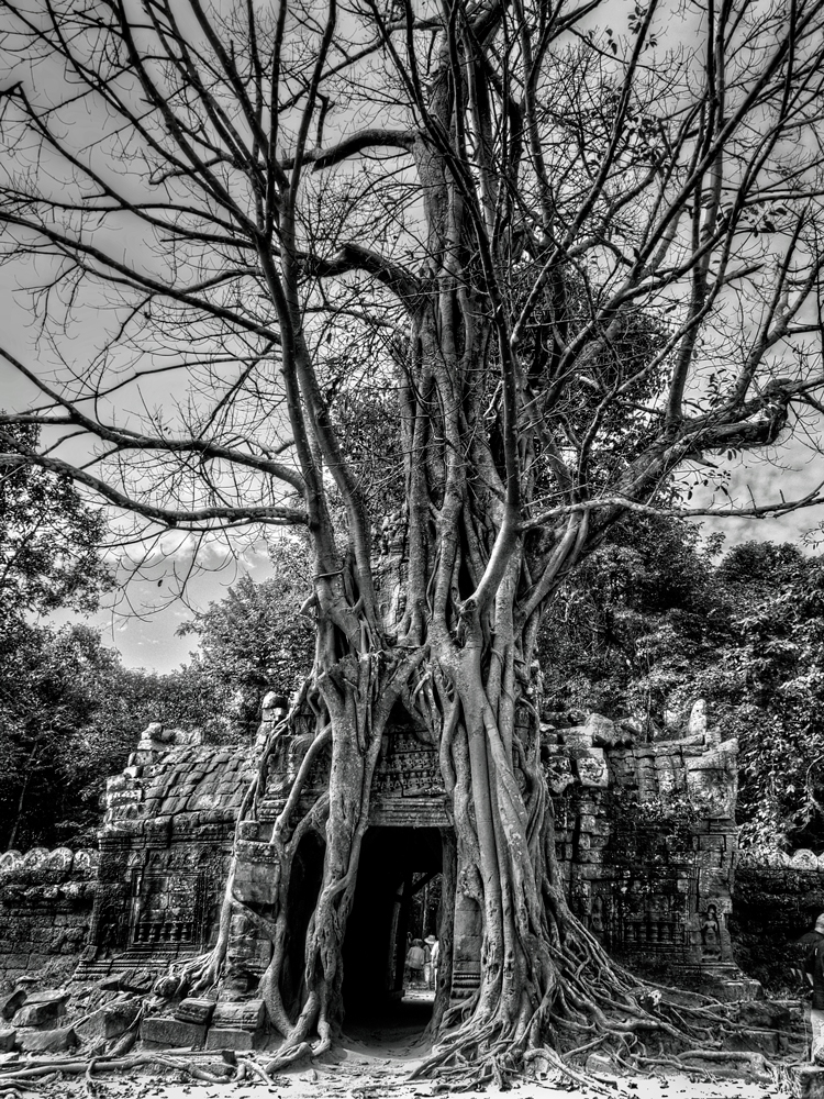 ANGKOR, LA CITTA' RITROVATA