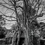 ANGKOR, LA CITTA' RITROVATA