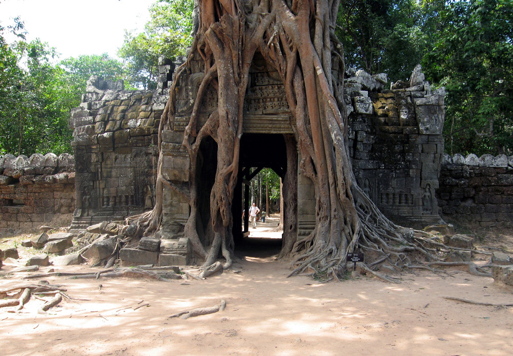 Angkor -- Natur ist stärker