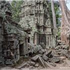 angkor ta prohm......