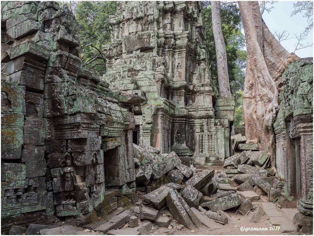 angkor ta prohm......