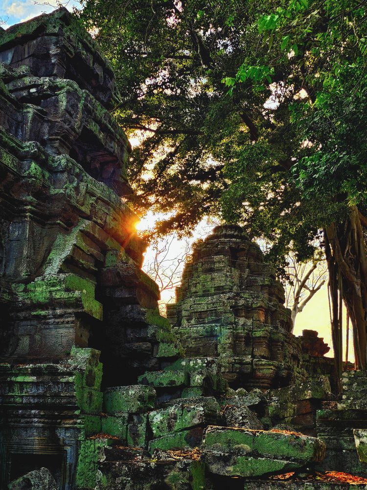 Angkor Ta Prohm
