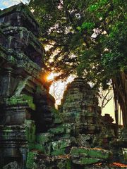 Angkor Ta Prohm
