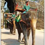 Angkor-Taxis....