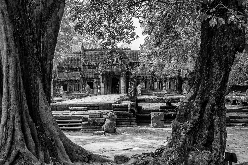 Angkor Tempel der Außenanlage! 