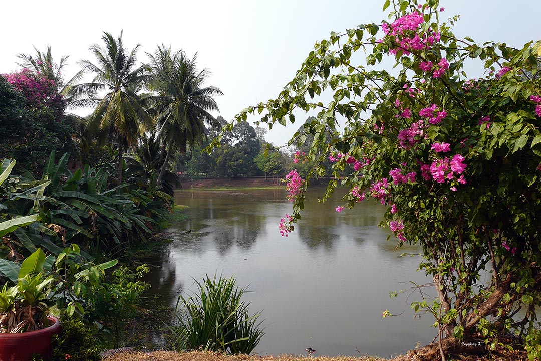 Angkor  Tempelumgebung