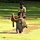 Angkor Thom